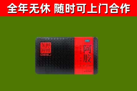 义县回收阿胶