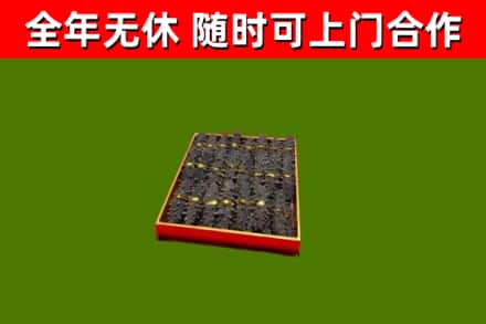 义县回收海参